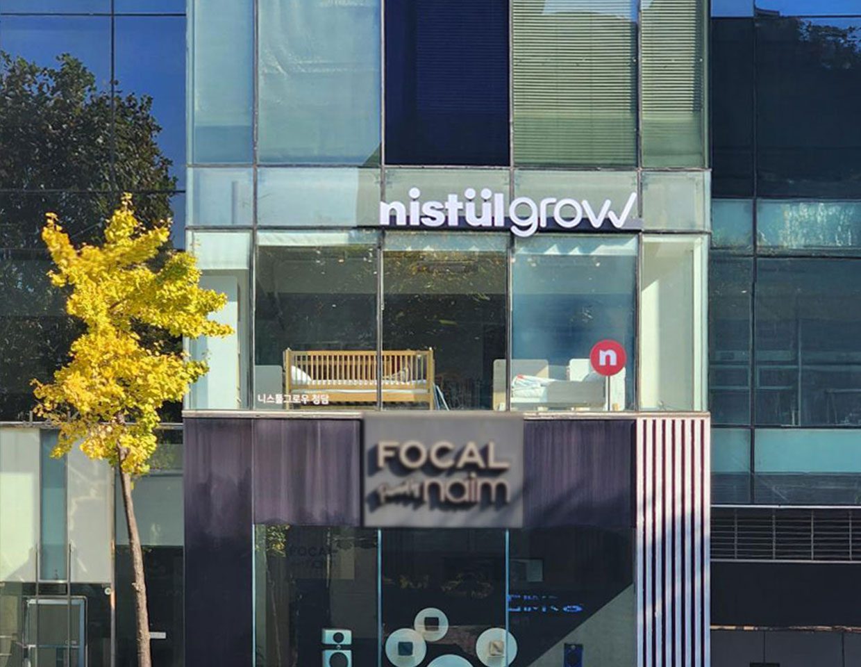 니스툴그로우 청담점