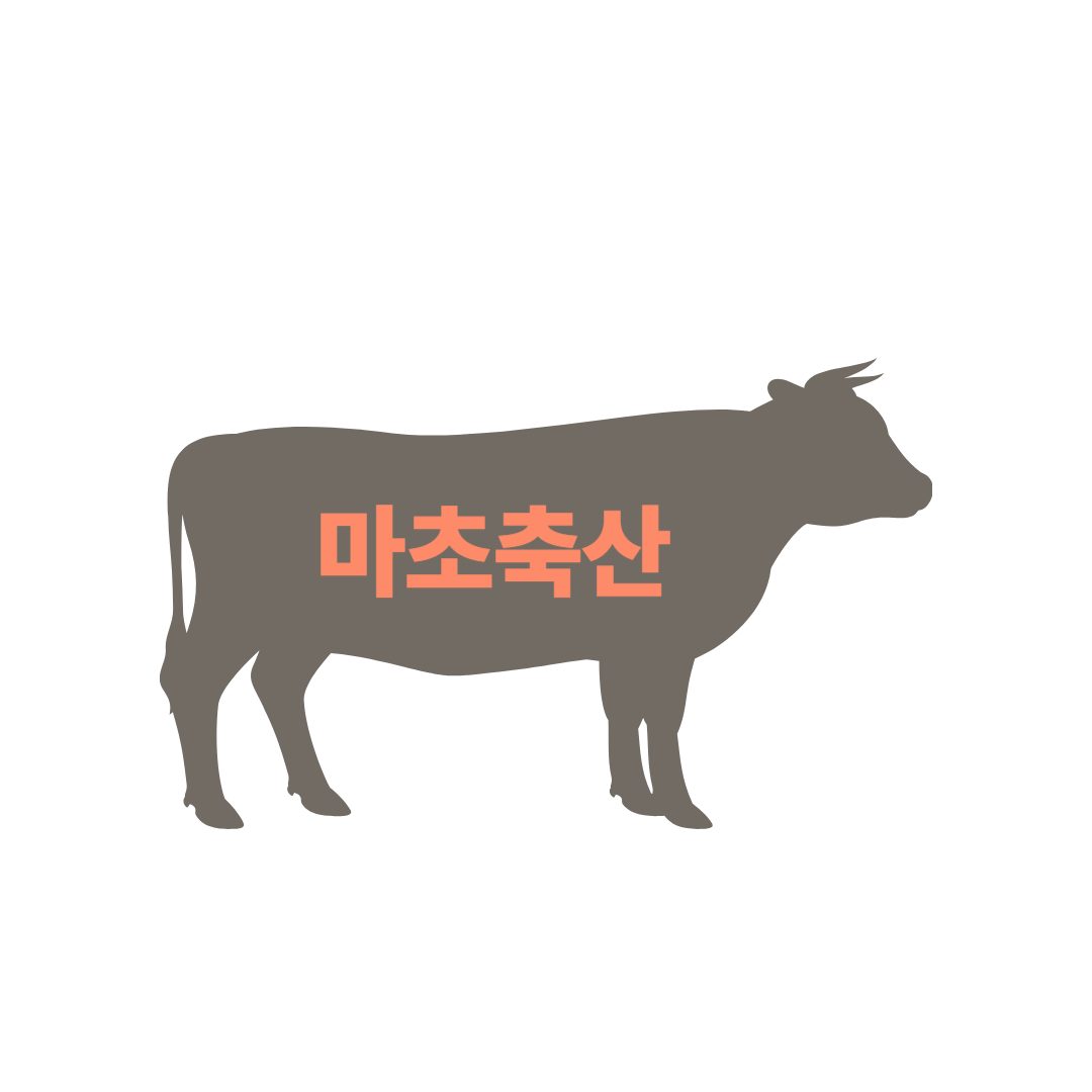 마초축산