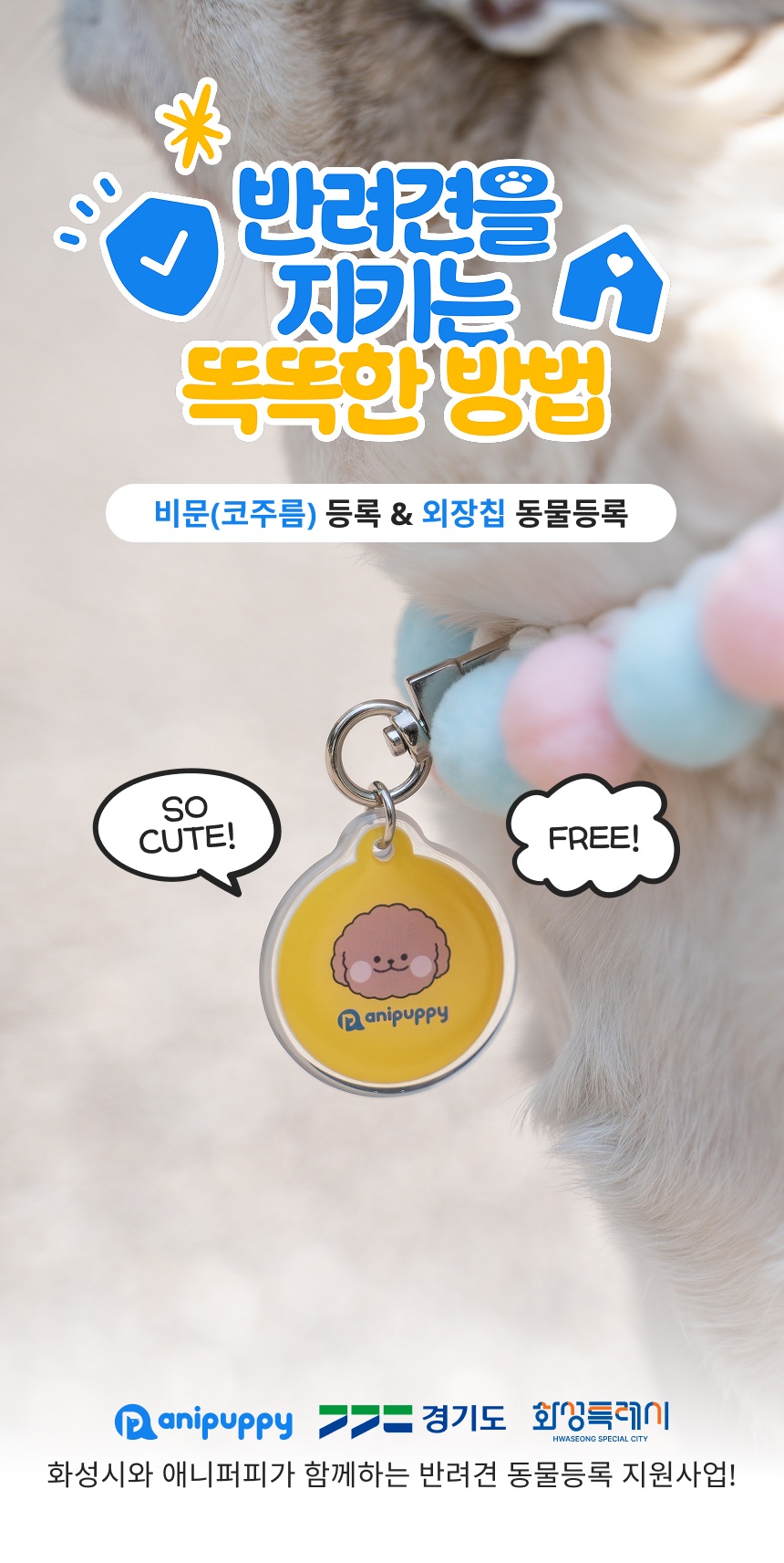 애니퍼피 picture 0