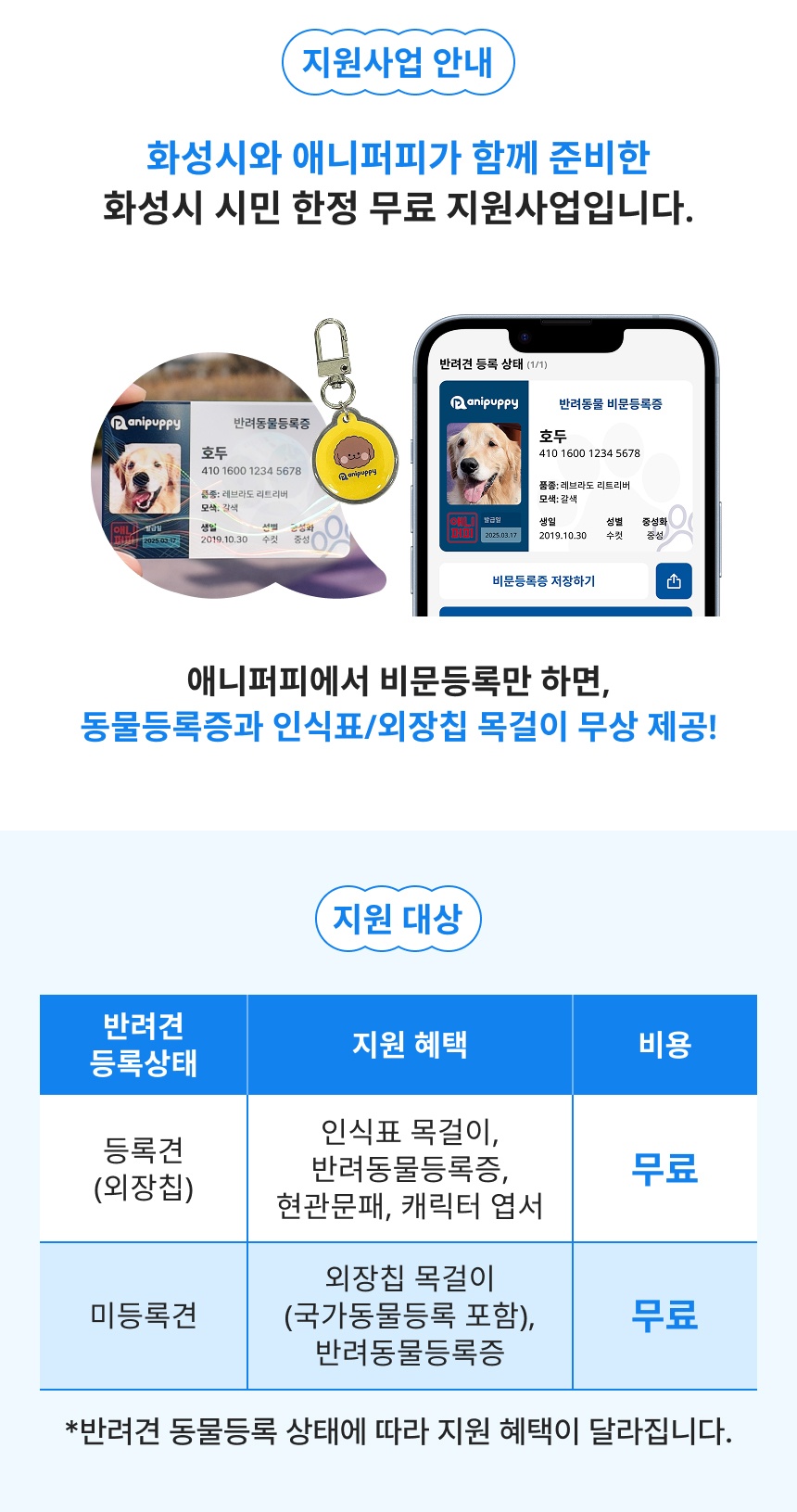 애니퍼피 picture 1
