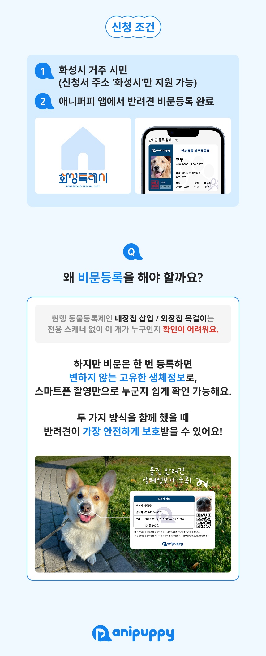 애니퍼피 picture 3