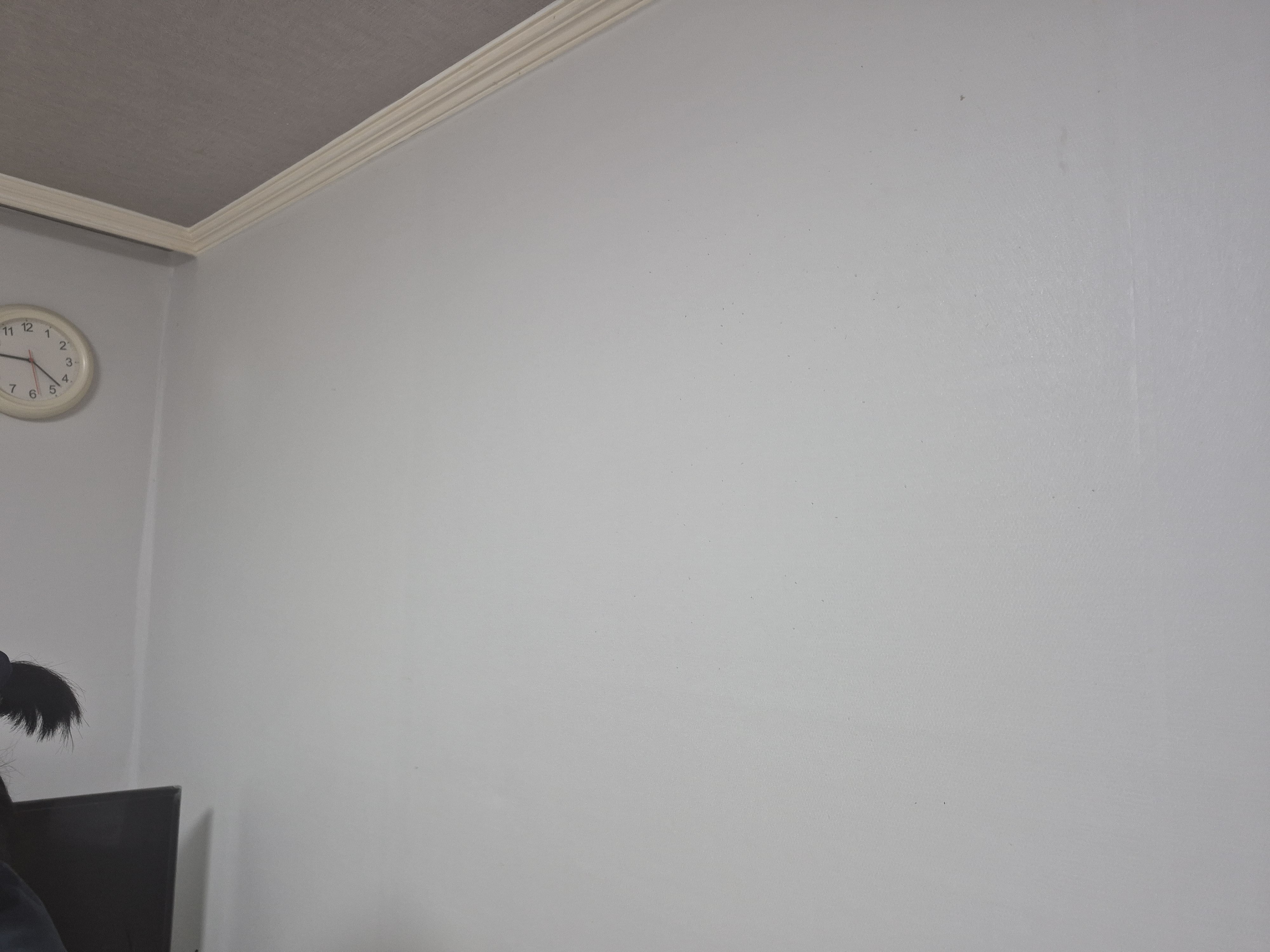 초록도배 picture 3