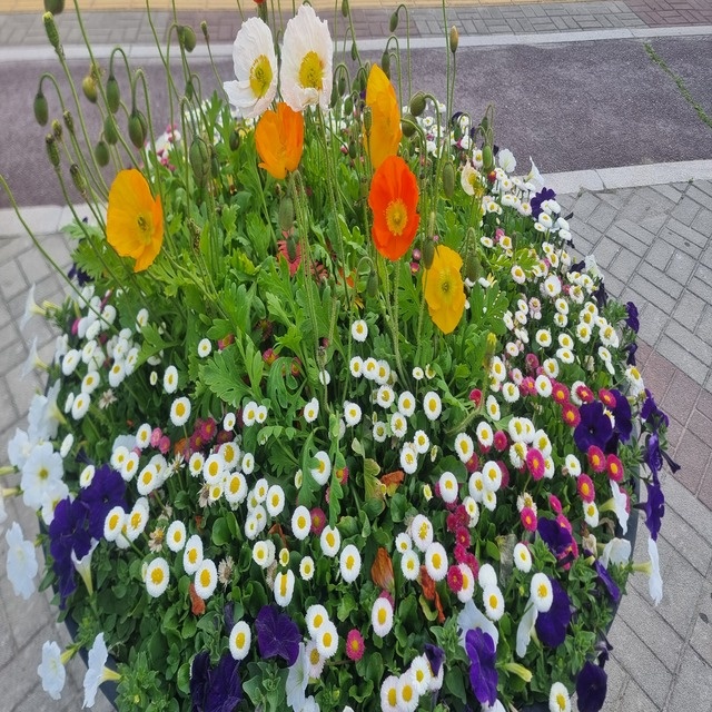 태경생명 picture 0