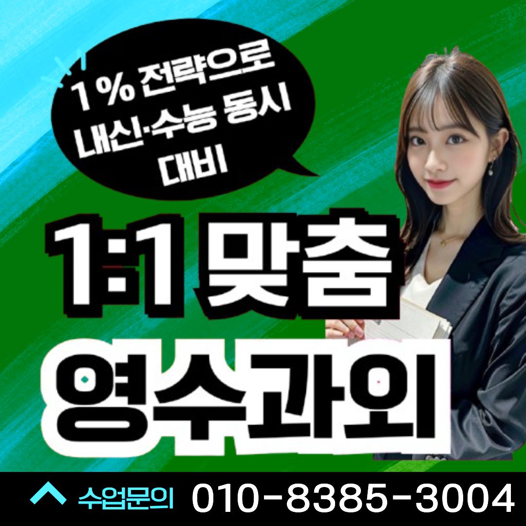 국영수 일대일 전문과외
