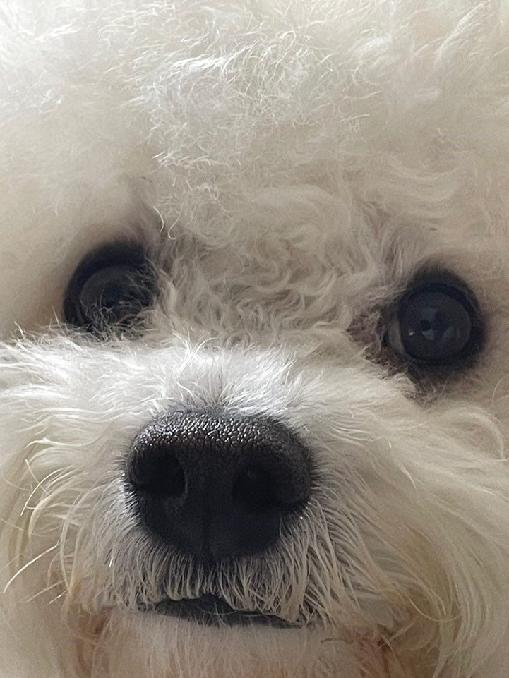 연유진