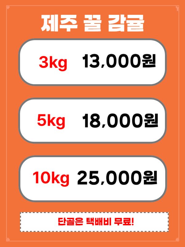 [특가] 제주 감귤 키로에 2,500원부터 드세요🍊