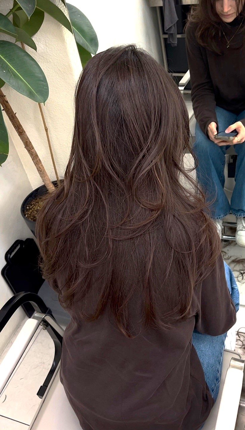 하이레이어드컷&헤이즐넛브라운