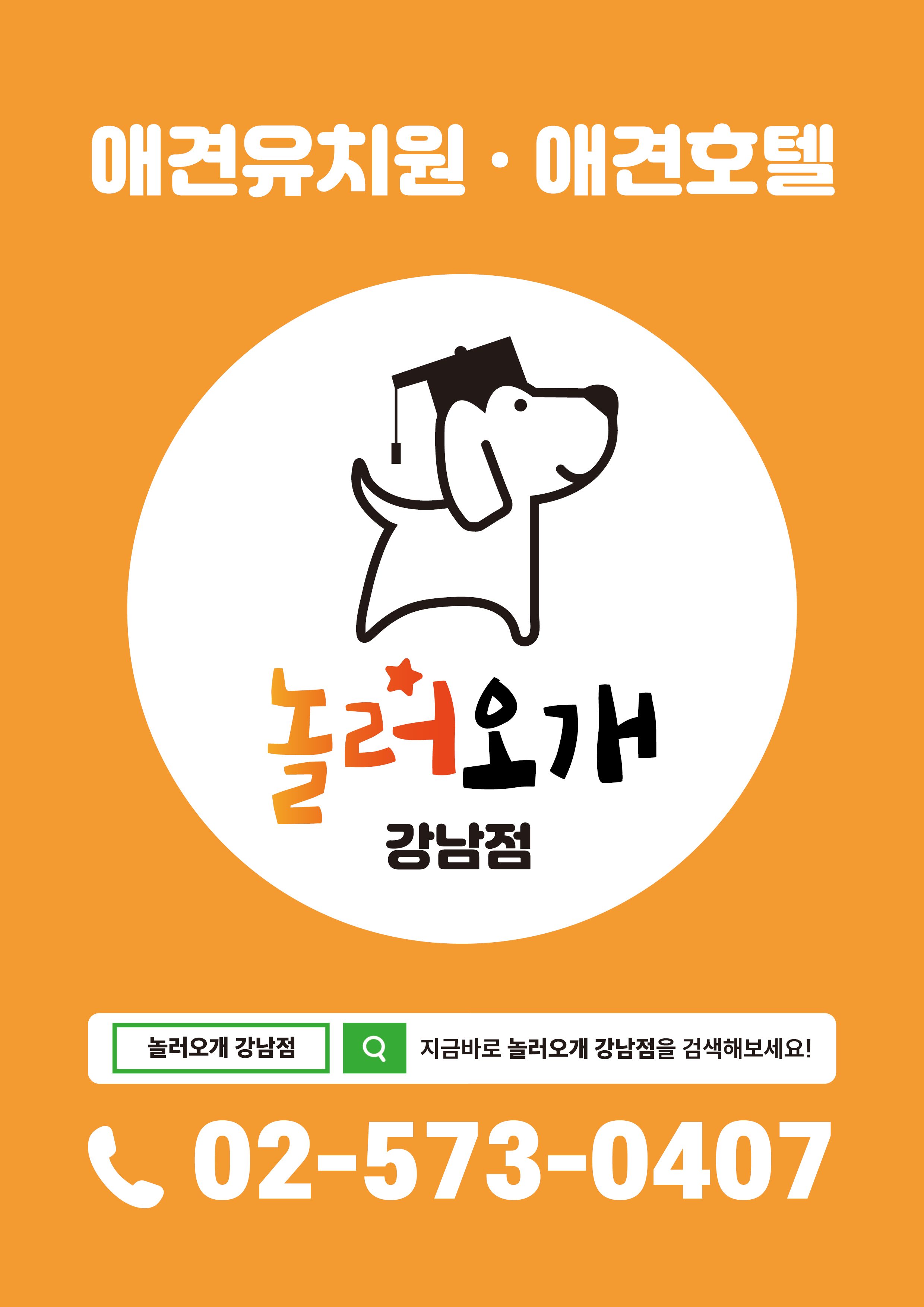 놀러오개 애견유치원 애견호텔 강남점