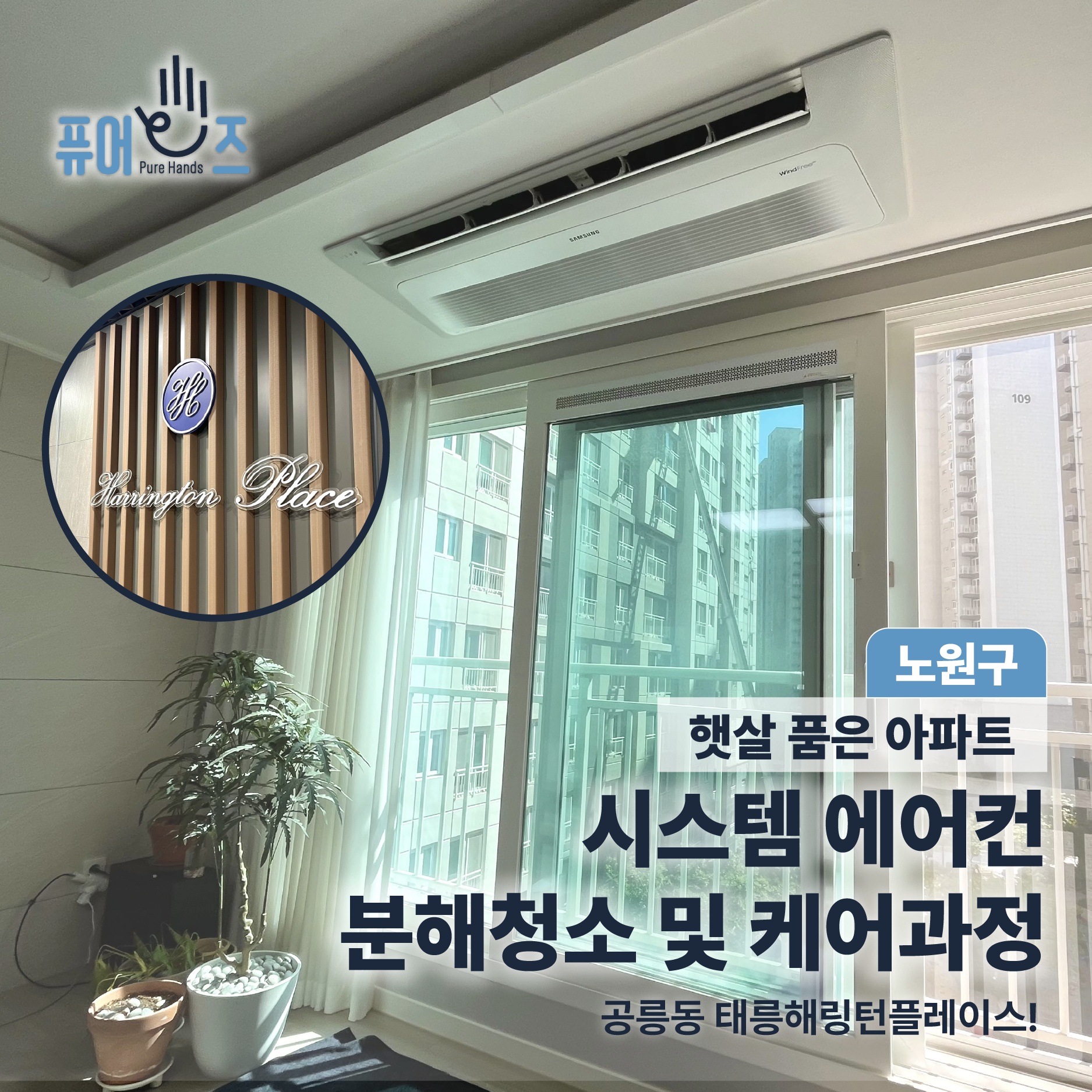퓨어핸즈 PureHands picture 9