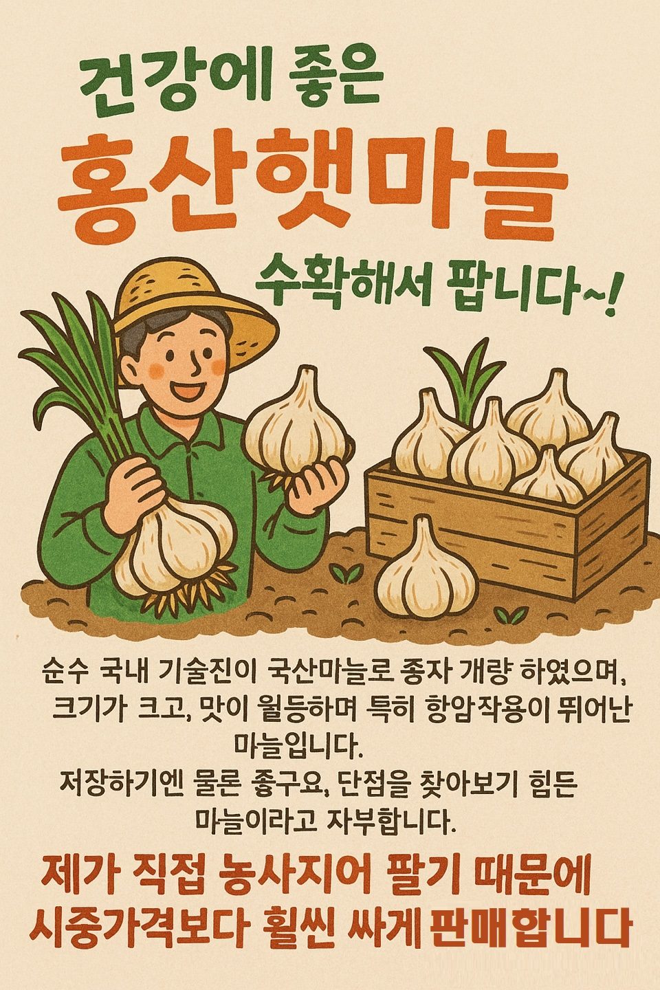 직접 농사지은 건강에 좋은 홍산햇마늘/씨마늘 팝니다