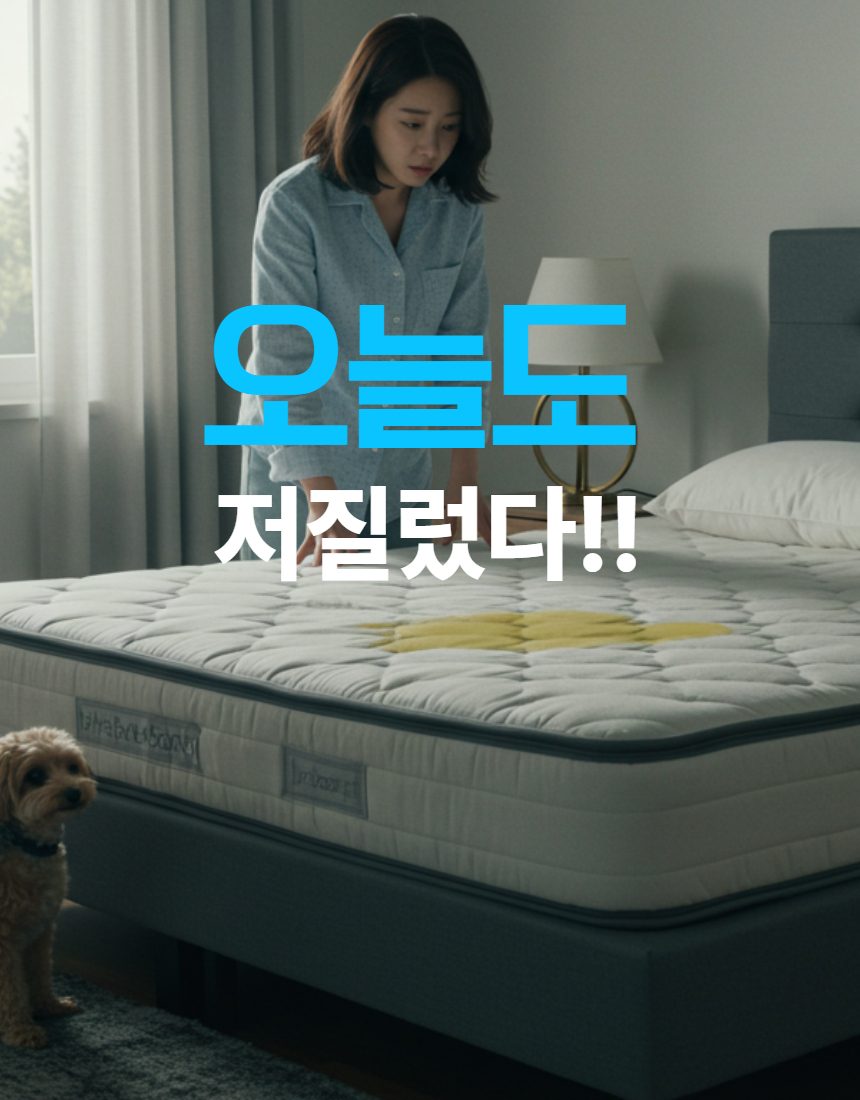 작은집웅 매트리스 가전홈케어