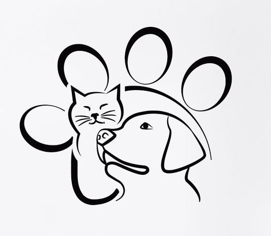 반려연구소