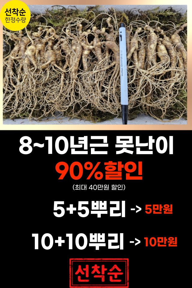 10년근 못난이 90%할인 1+1 (선착순 3명)