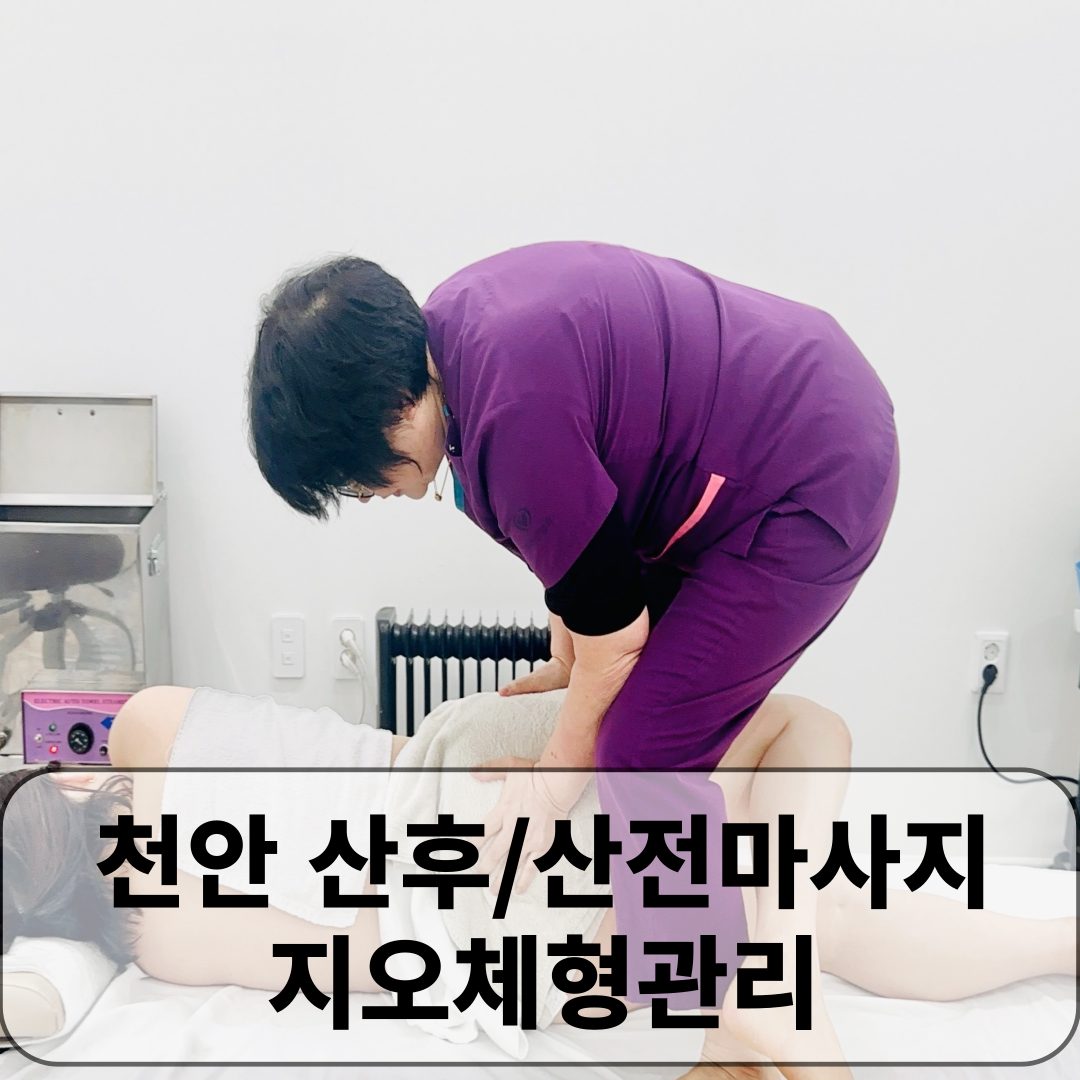 지오체형관리