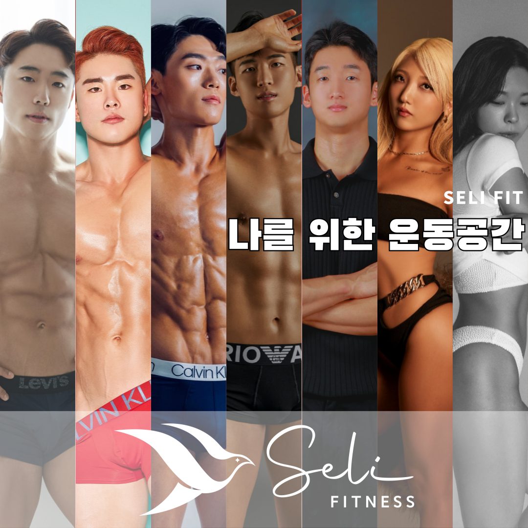 셀리핏