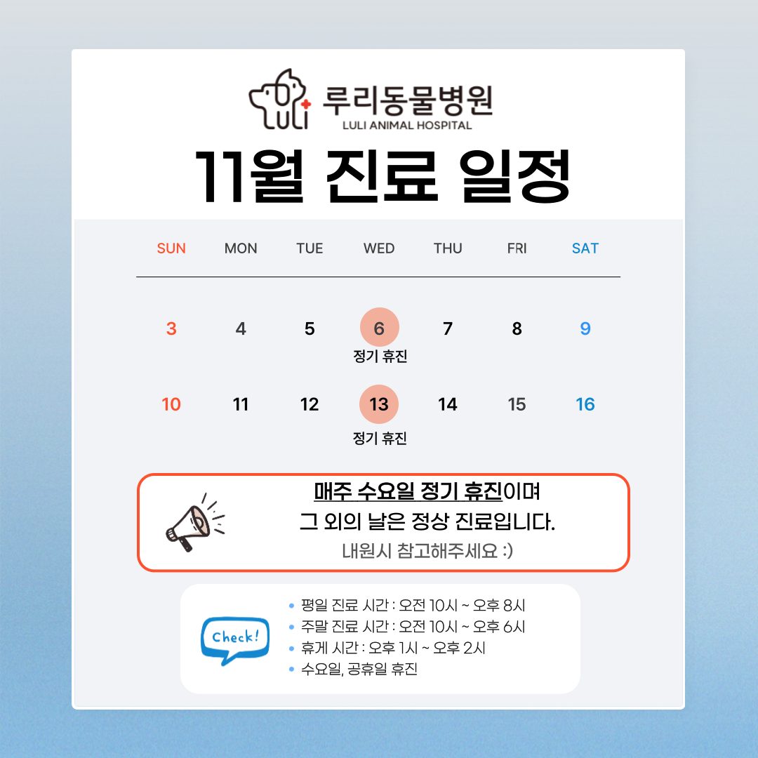 루리동물병원 11월 진료 일정