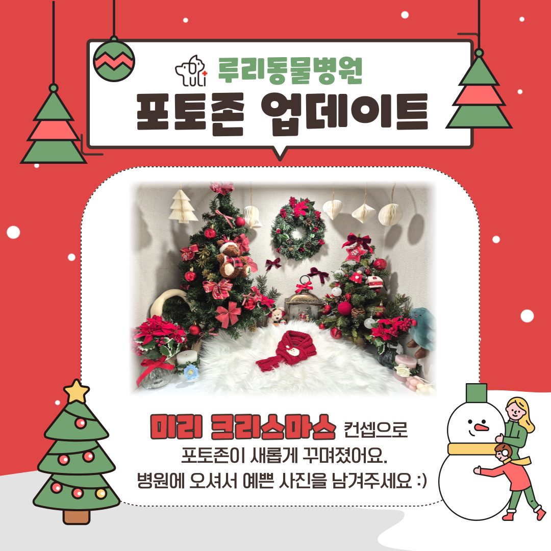 루리동물병원 포토존 업데이트🎄🎀