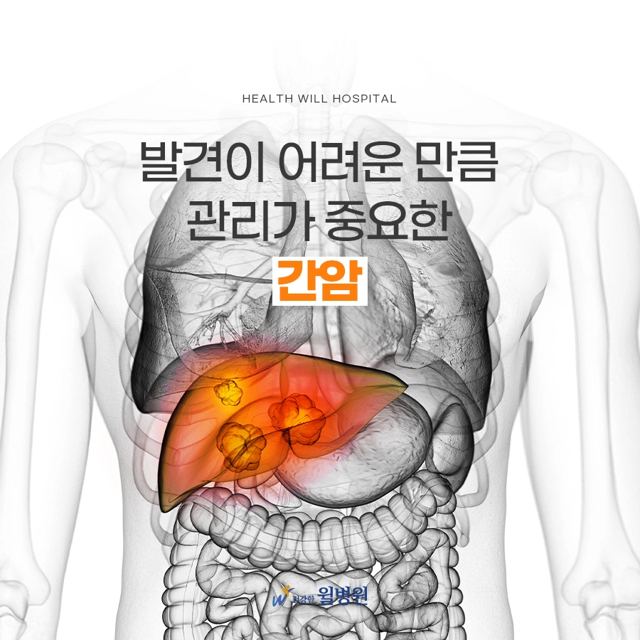 남성한테 많이 발생하는 간암 주의 | 울산광역시 남구 신정동 | 일반병원 | 당근 비즈 소식