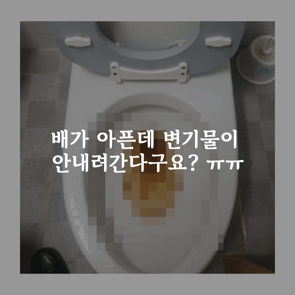 변기에서 물이 내려가지않아요...ㅠㅠ?