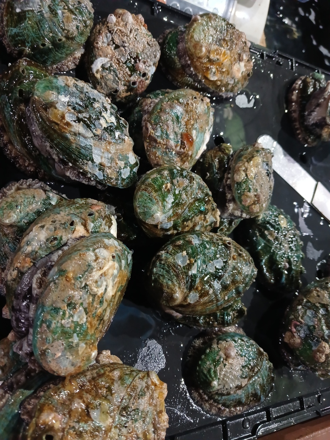 수민이네 picture 2