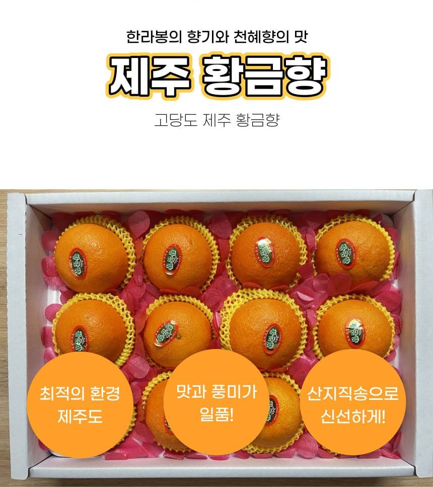 비비오상점 picture 6