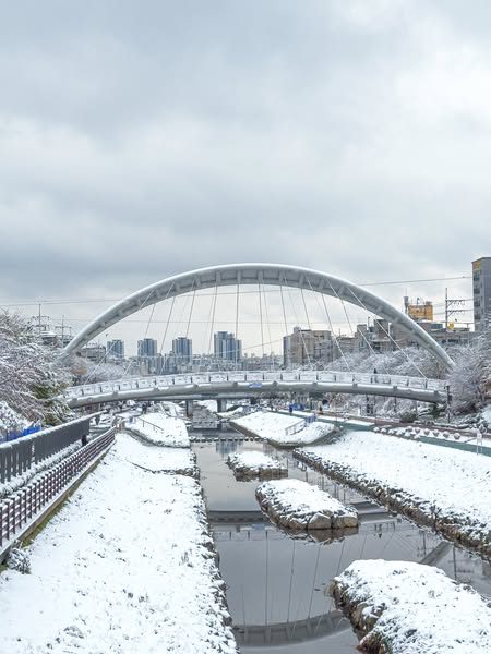 오늘 밤부터 서울 한파주의보!!❄️ 1.8.(수) 21시 발효 예정🌬️