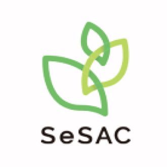 서울시 SeSAC 도봉 X 코딩온