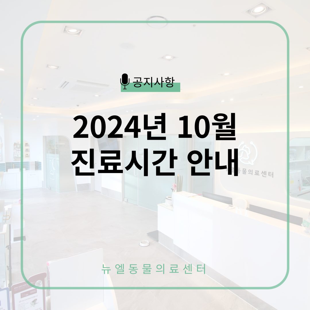 📅10월 진료 일정 안내