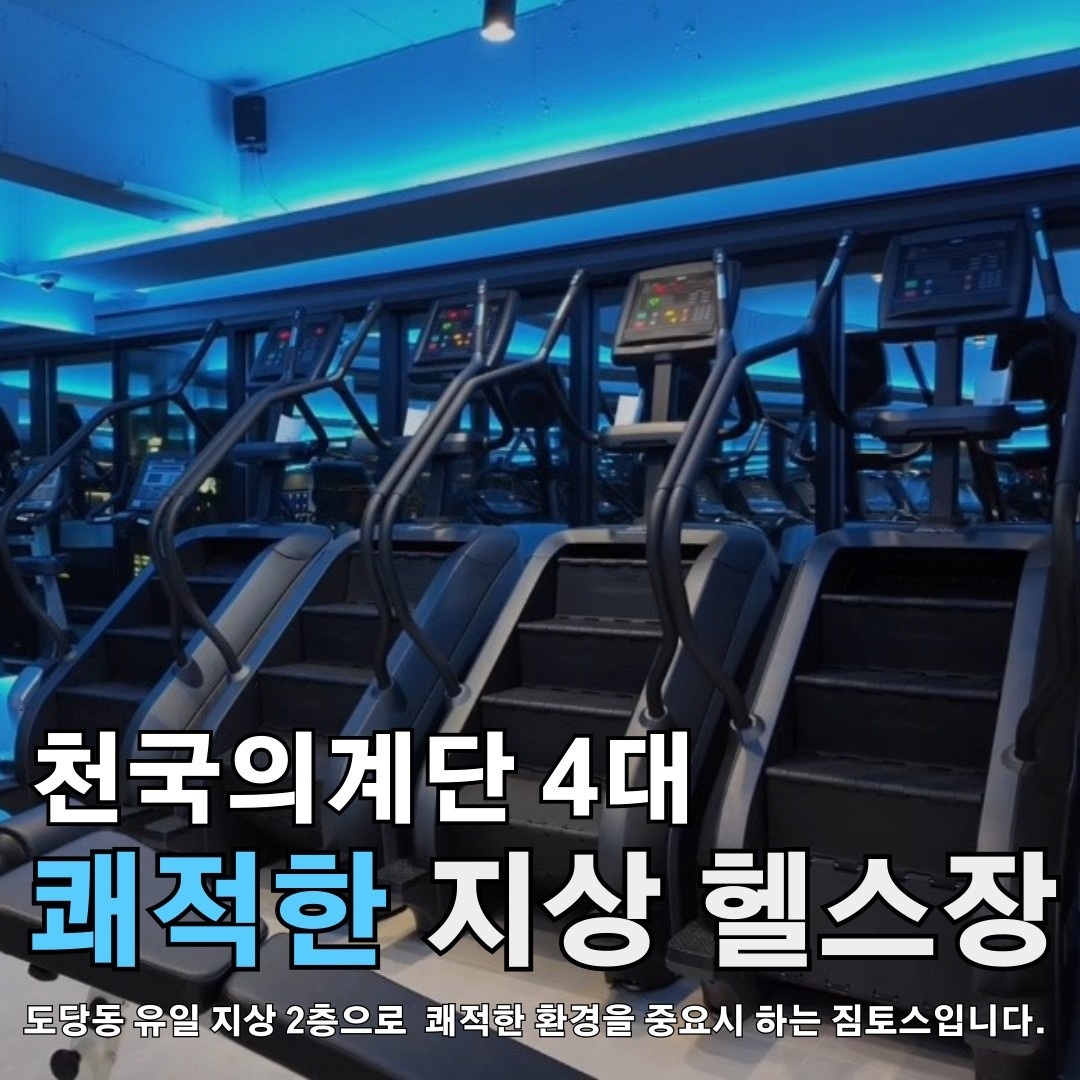 짐토스 picture 3