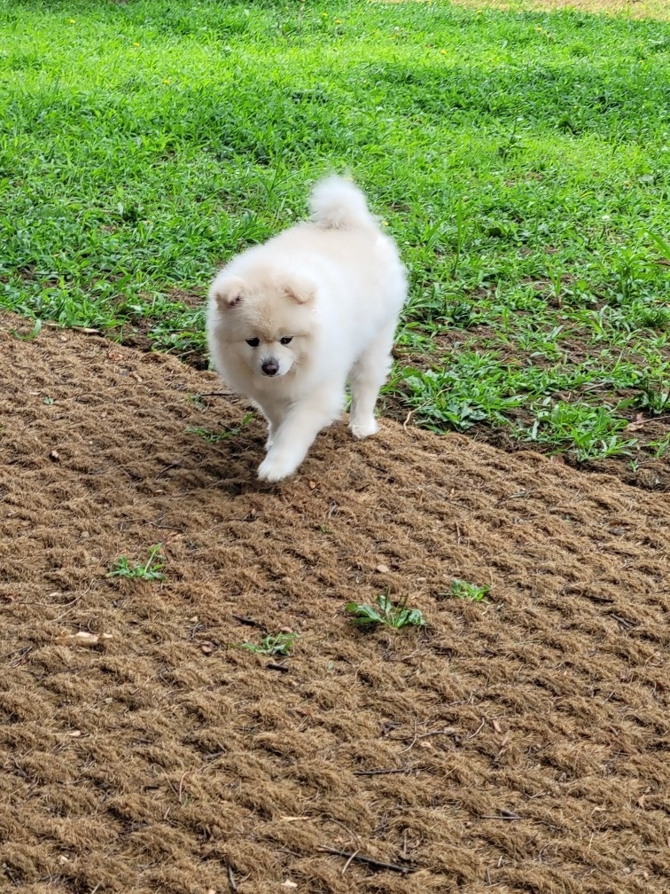 호텔델루멍 picture 2