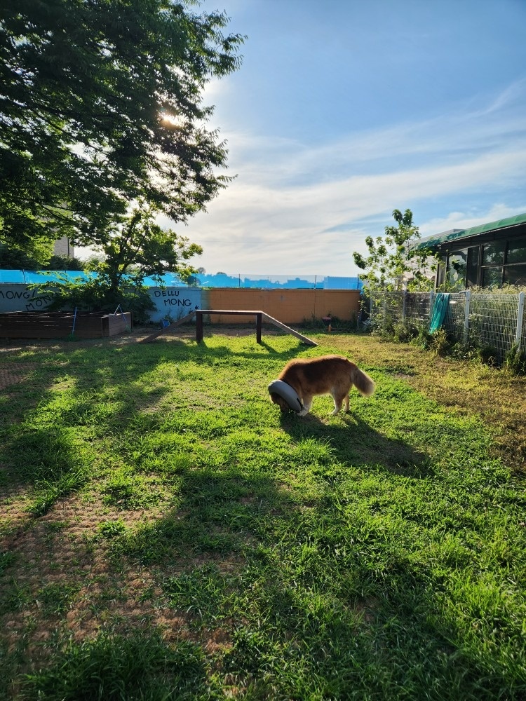 호텔델루멍 picture 7