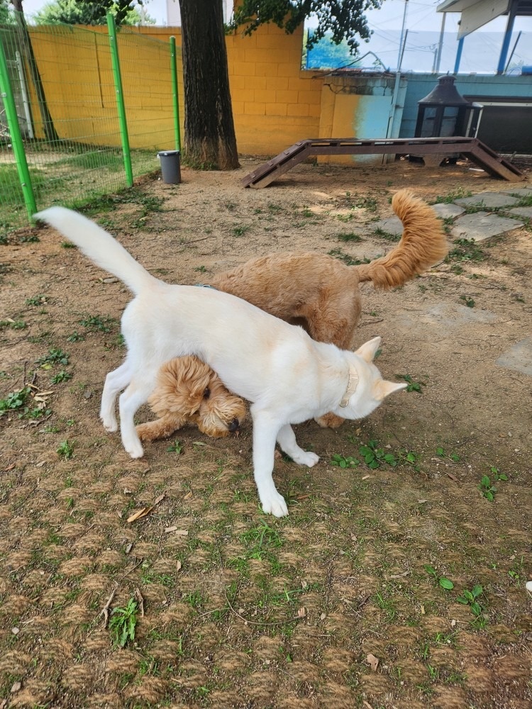 호텔델루멍 picture 8