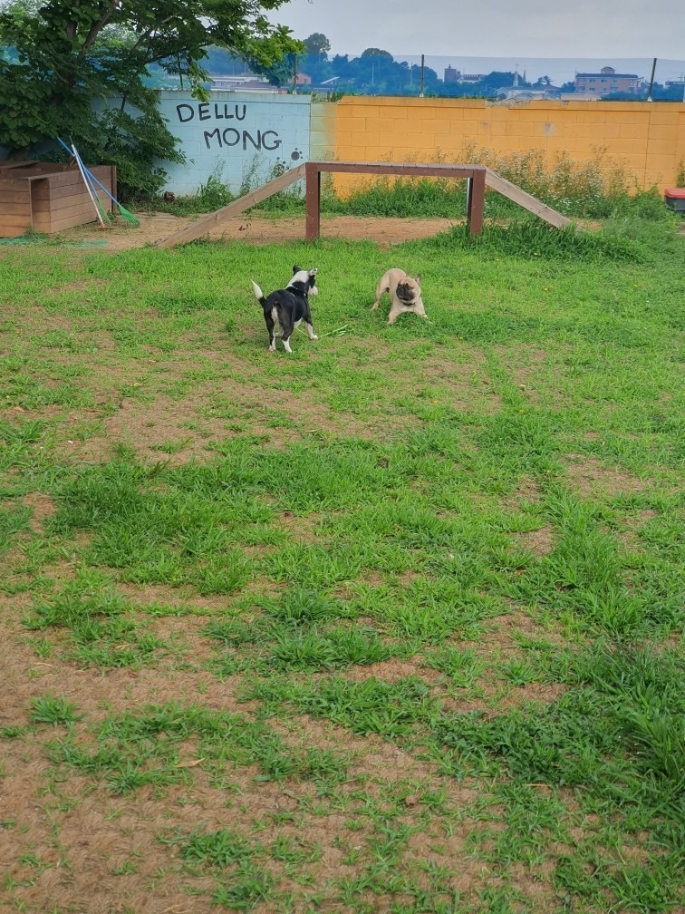 호텔델루멍 picture 9