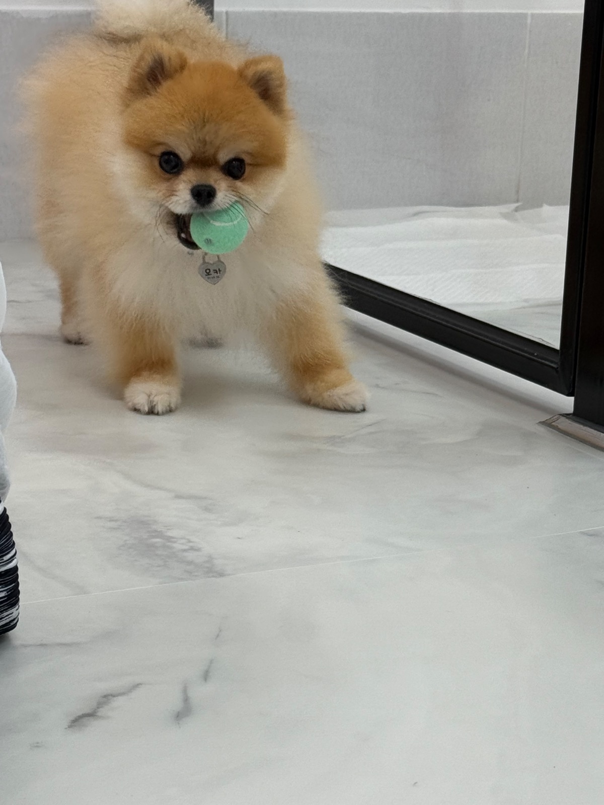 품따poomdda picture 6