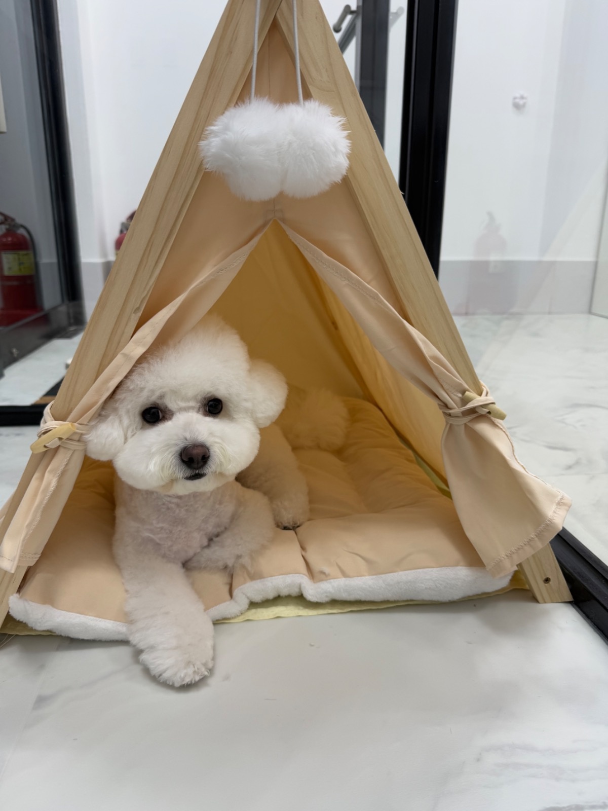 품따poomdda picture 7