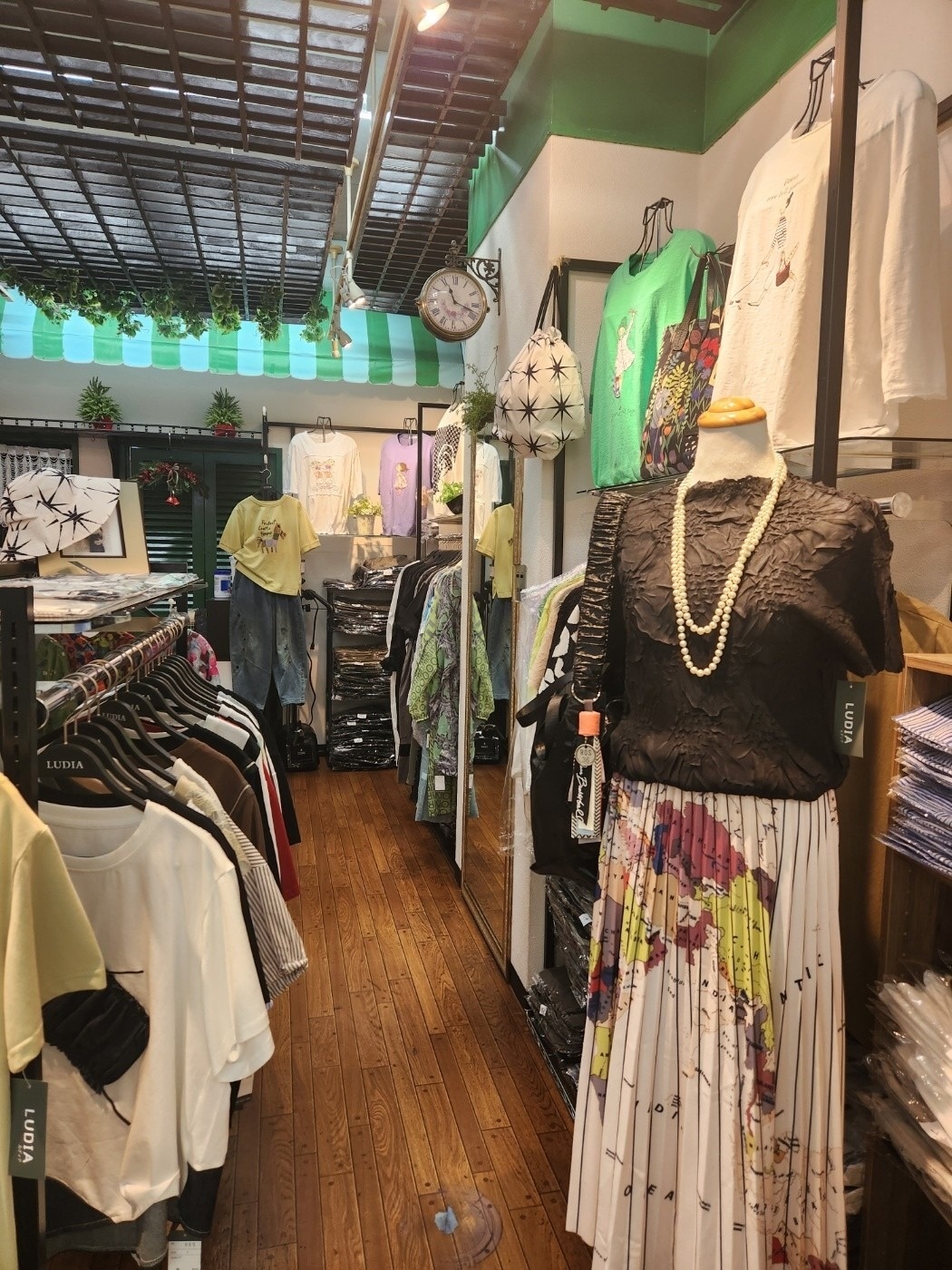 루디아 picture 0