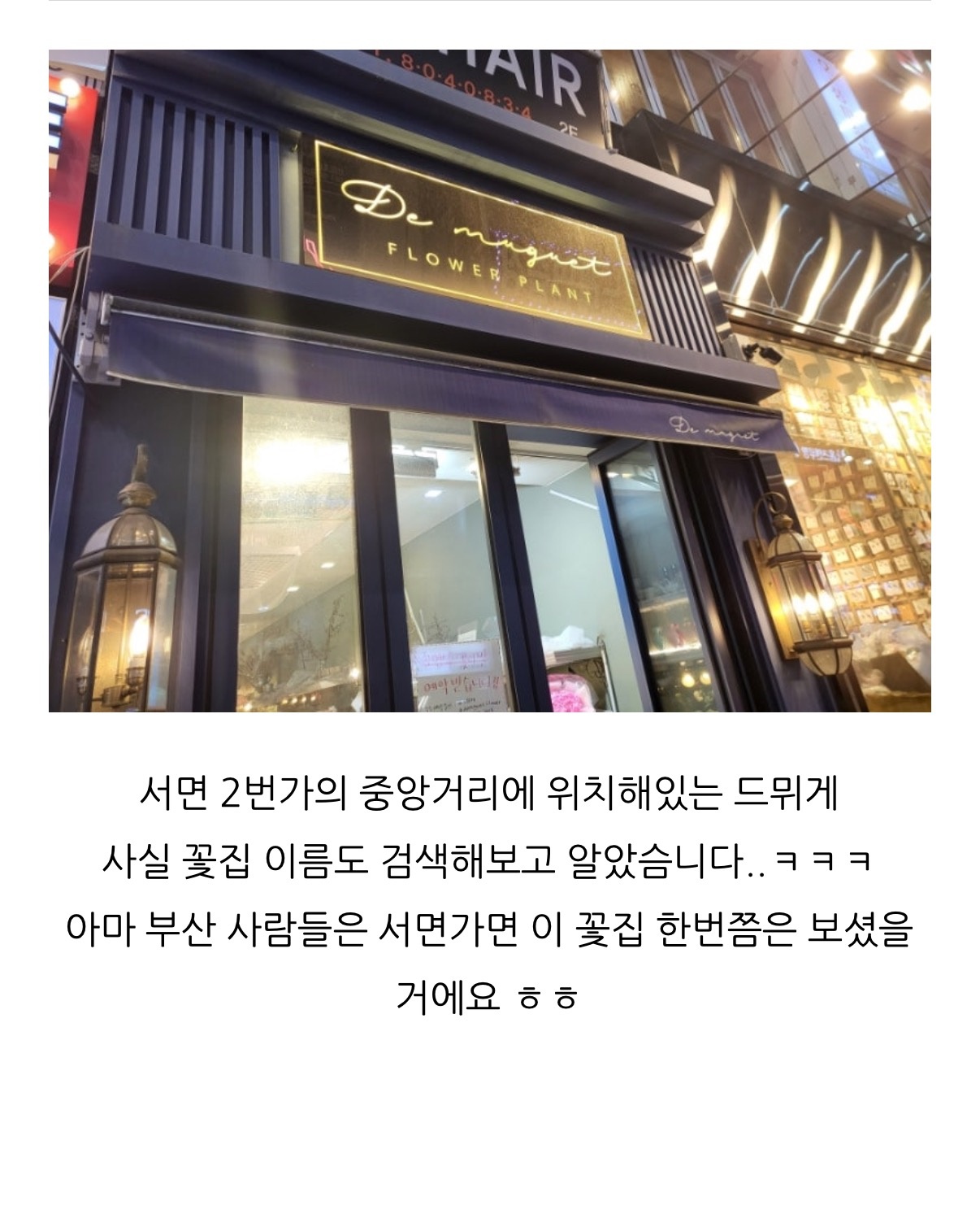 드뮈게 플라워 picture 2