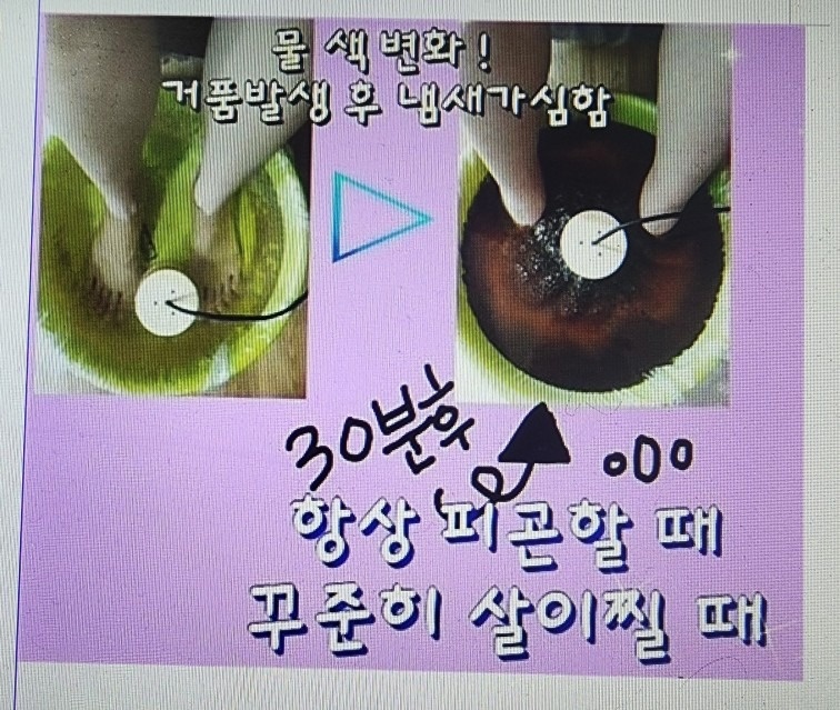 인천해독다이어트센터 picture 5