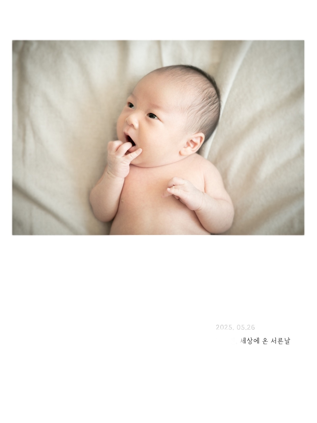 오늘도사진 picture 0