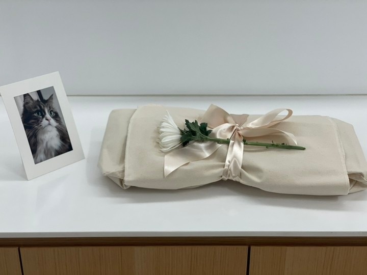 바이펫서울 picture 2