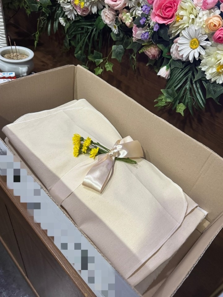 바이펫서울 picture 1