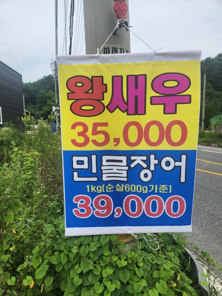 자연수산 picture 4
