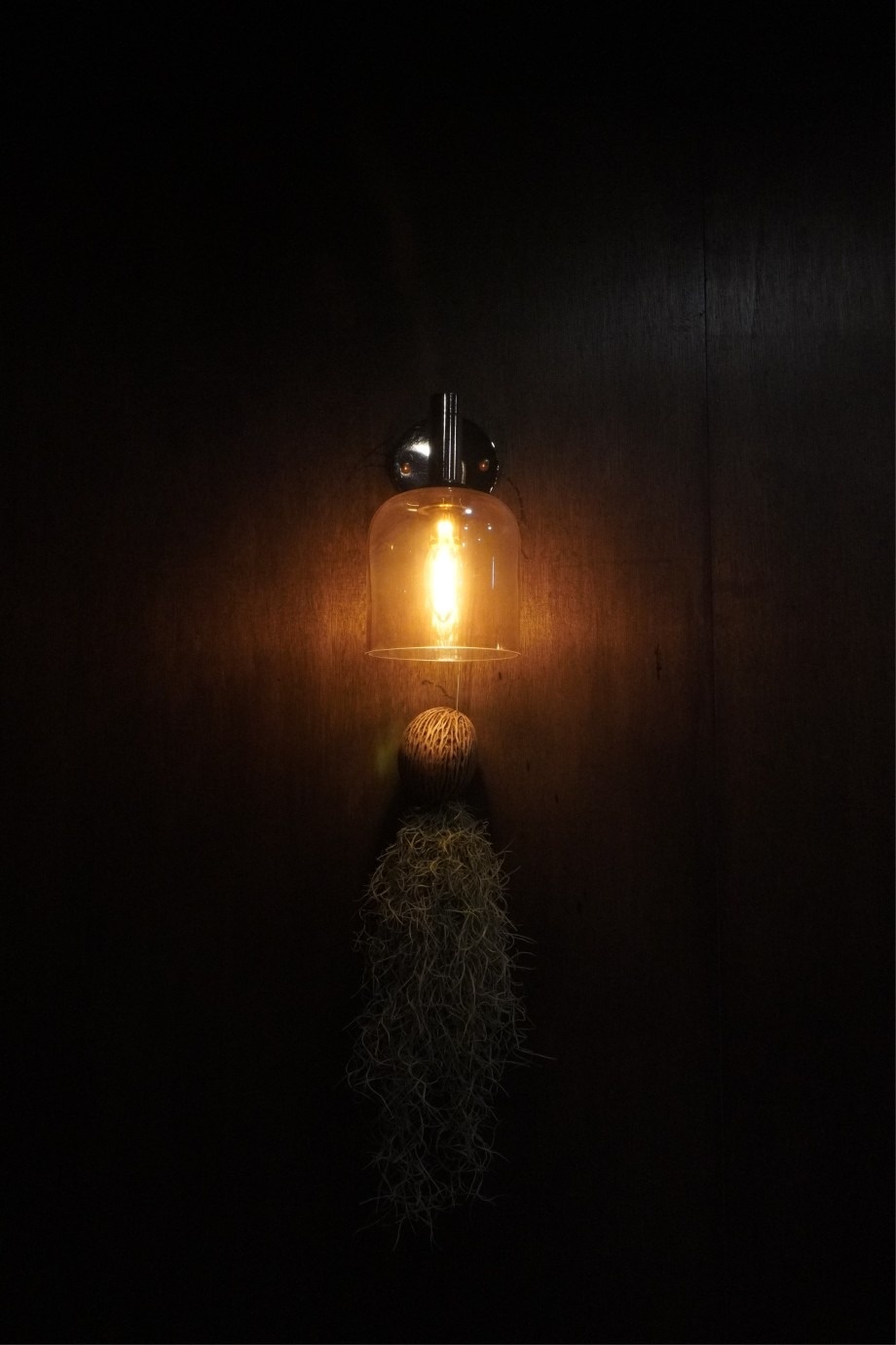 누구의 집 picture 3