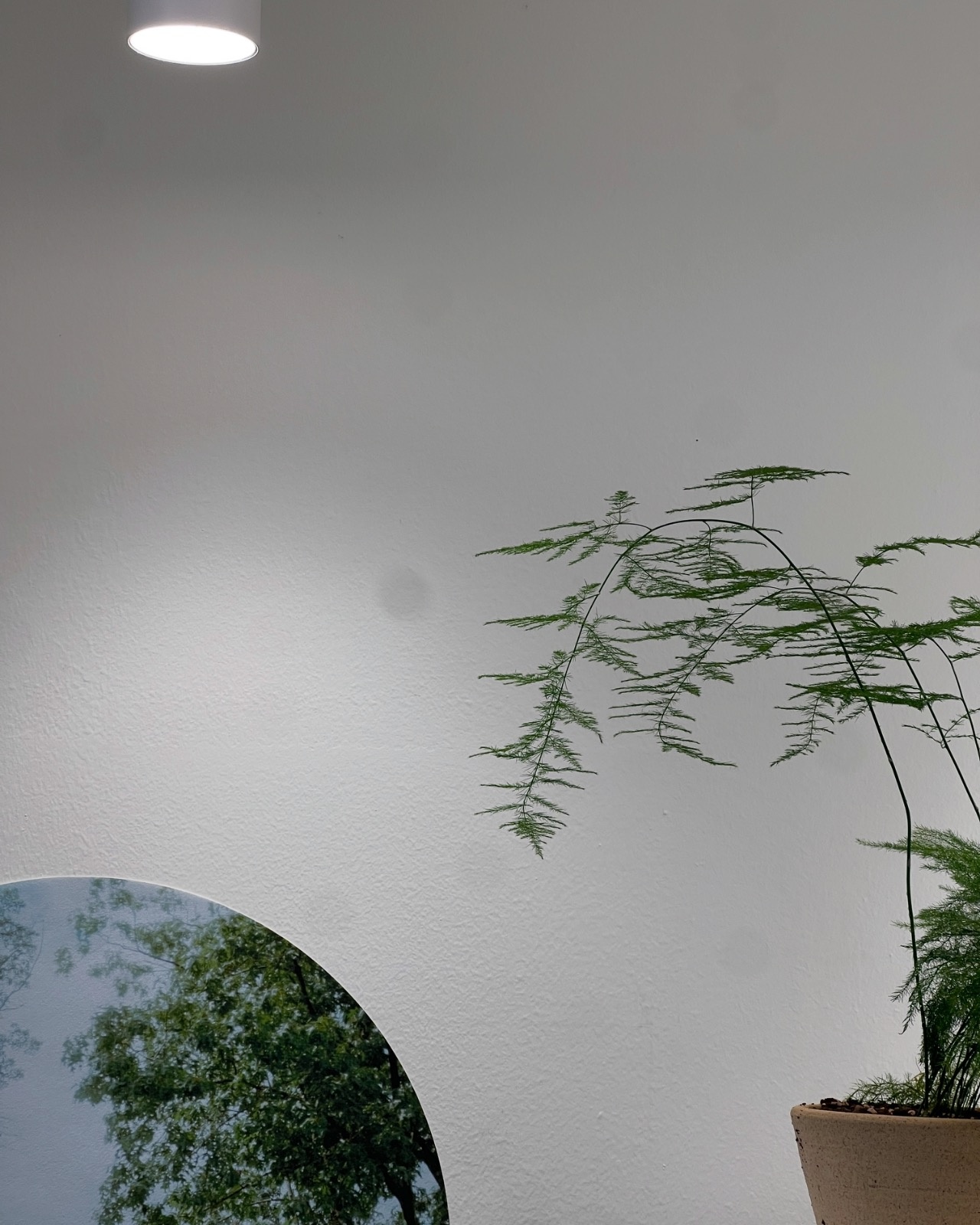 하이베리플라워 picture 9