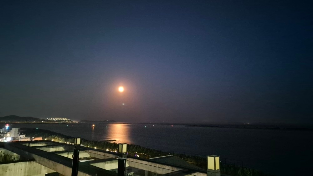비콤마 picture 2