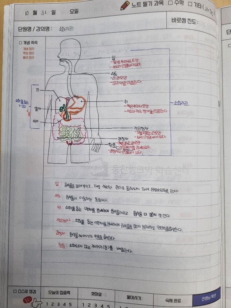 아미프라임 picture 4