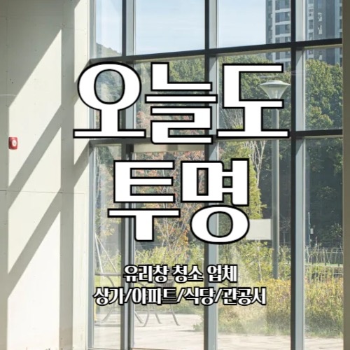 오늘도투명 picture 0