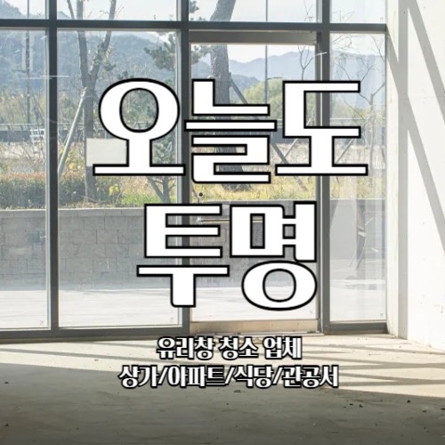 오늘도투명 picture 3