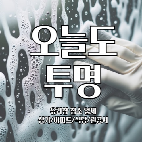 오늘도투명 picture 2