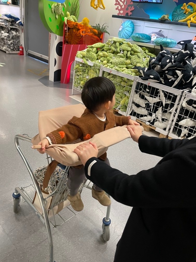 제이올라 picture 4